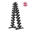 Expositor Torre Suporte para Halteres Pesos e Dumbbells de 1 a 10kg Gallant Elite (GTE20VFEA-PT)